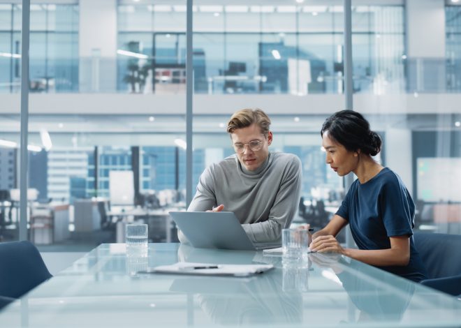 Mainland vs Free Zone Options Explained